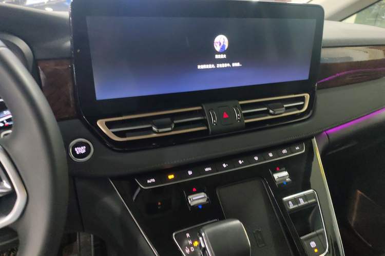 Used Hongqi HQ9 2023 2.0T Smart Connect Flagship Edition
