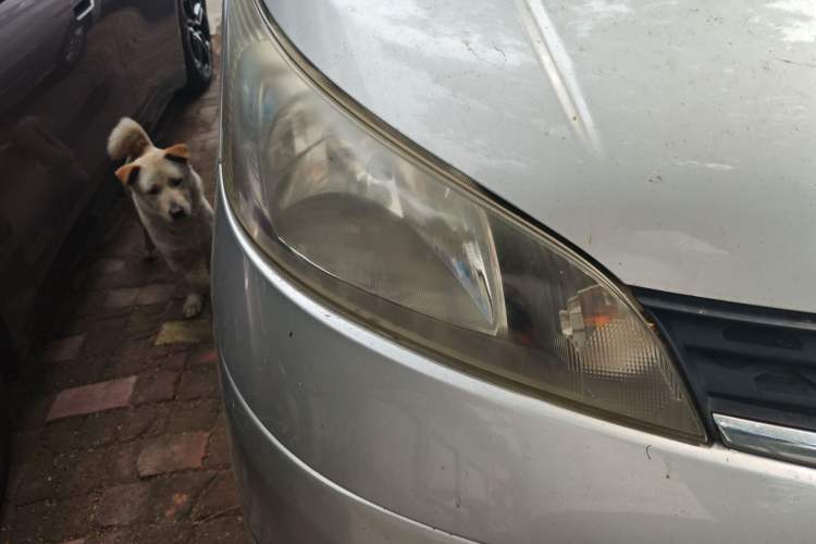 Used Nissan NV200 2012 1.6L 232 Seats Luxury Version Right Front Headlight