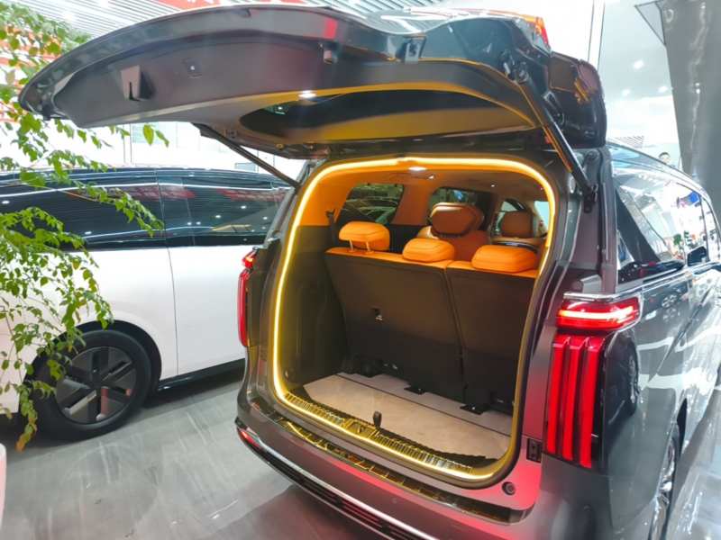 Used Wey Gaoshan 2025 Four-Wheel Drive Alpine 8 — 18