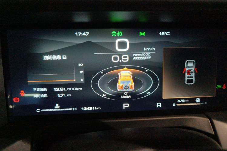 Used Tank 300 2024 2.0T Conqueror
