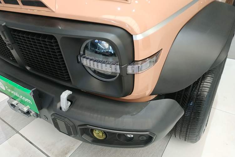 Used Tank 300 2024 2.0T Conqueror