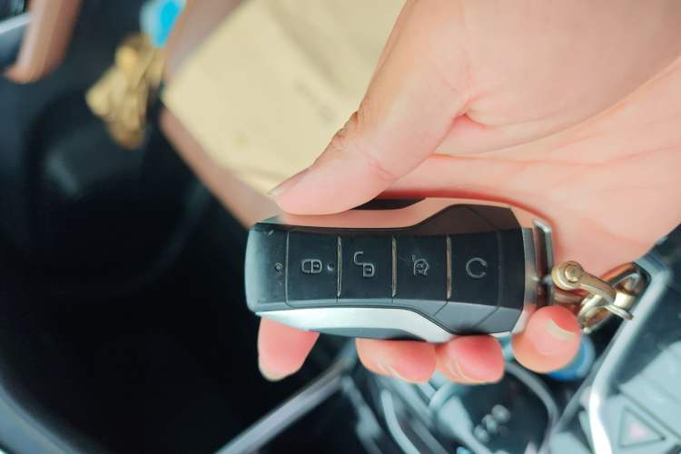 Used BYD Tang New Energy 2021 DM-i 112KM Prestige Model