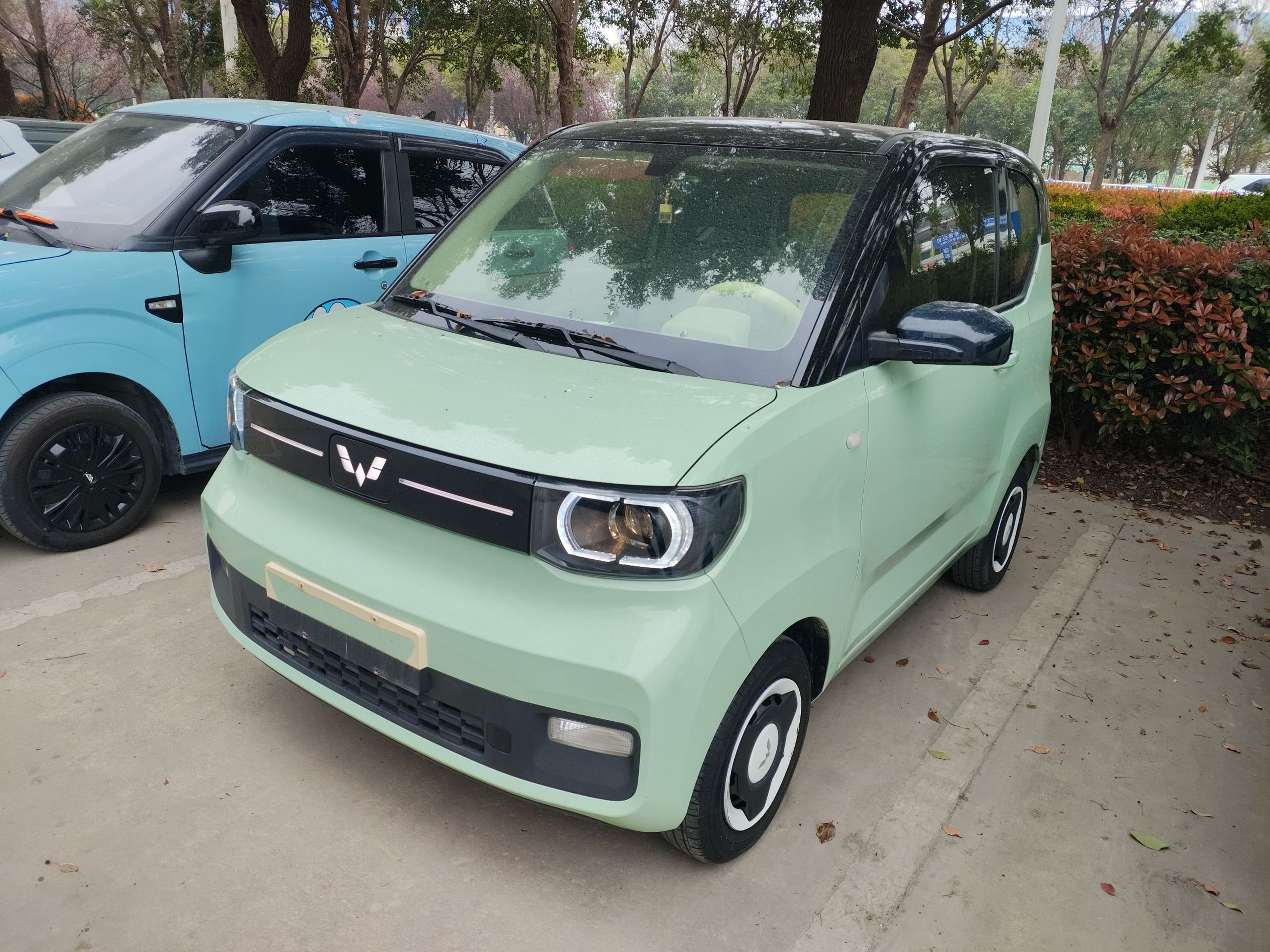 Parte inferior delantera