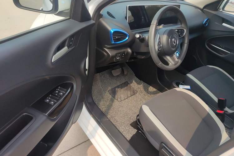 Used ORA White Cat 2020 305 km Luxury Version
