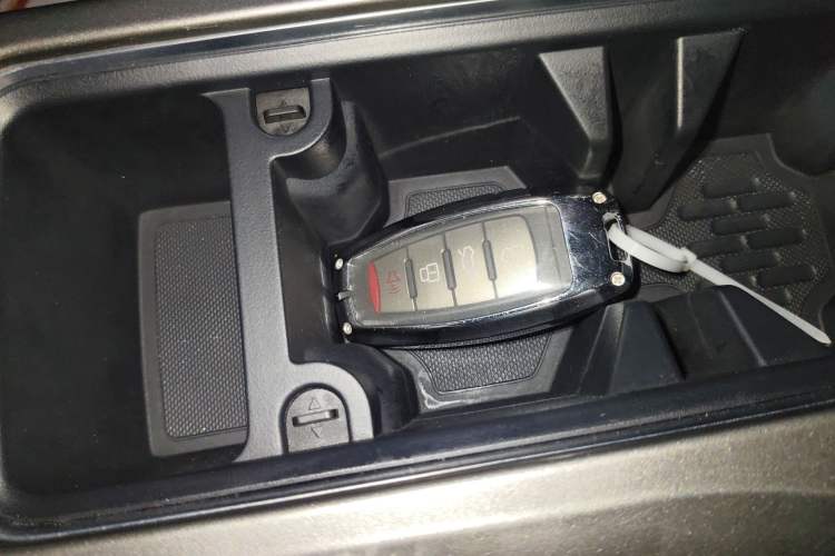 Used Haval DARGO 2024 2.0T DCT Chinese Rural Dog Edition
