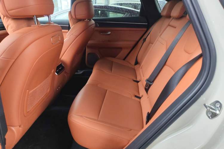 Used Hima AITO M5 2025 Extended-Range Ultra All-Wheel-Drive Version Left Rear Seat