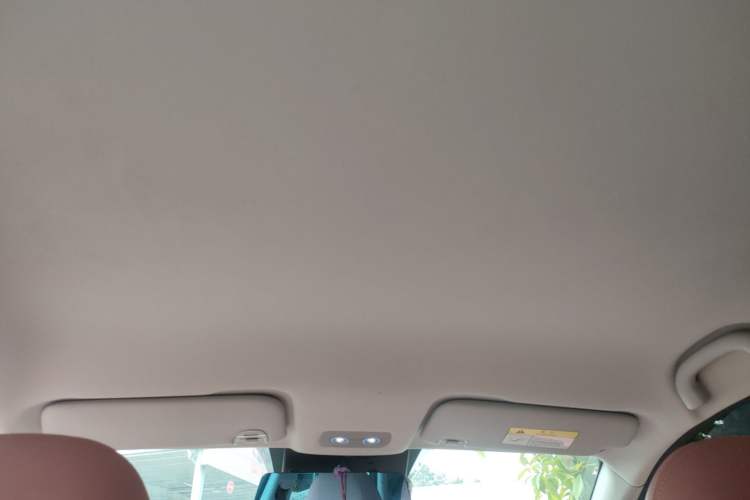 Used NETA V 2022 Chao 400 Lite Pink Custom Edition Headliner