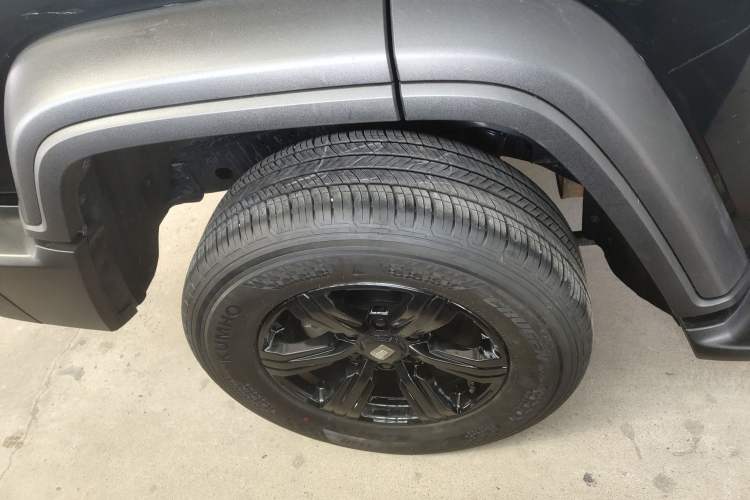 Used Tank 300 2024 2.0T Conqueror