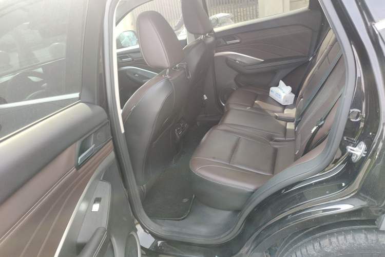 Used Wey VV6 2019 2.0T Two-Wheel-Drive Flagship Version China VI Standard
