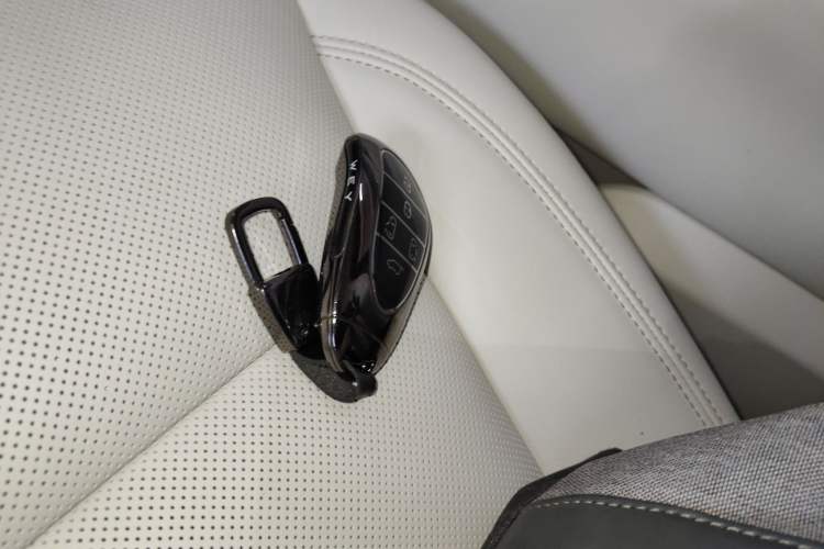 Used Wey Gaoshan 2025 Four-Wheel Drive Alpine 8
