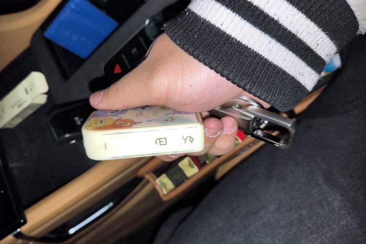 Used Lynk & Co 09 EM-P 2023 2.0TD EM-P Long-Range Version PM Six-Seater