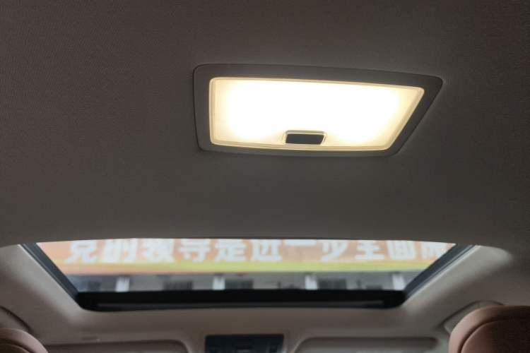 Used Lexus UX New Energy 2020 300e Pure·Joy Edition Headliner