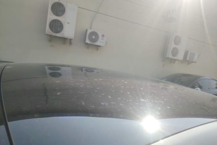 Used IM LS6 2023 Max Standard Edition