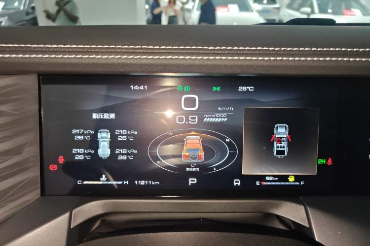 Used Tank 300 2024 2.0T Conqueror