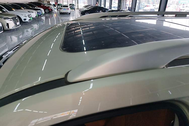 Used Tank 500 2023 3.0T Business Edition "Creation" Style 5 Seats