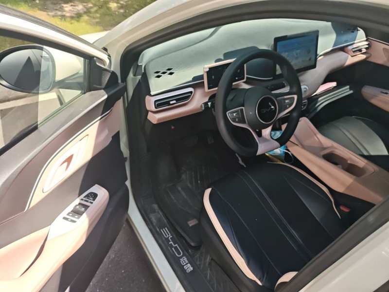 Used BYD Seagull 2025 Intelligent Driving Version 305 km Dynamic Edition — 17