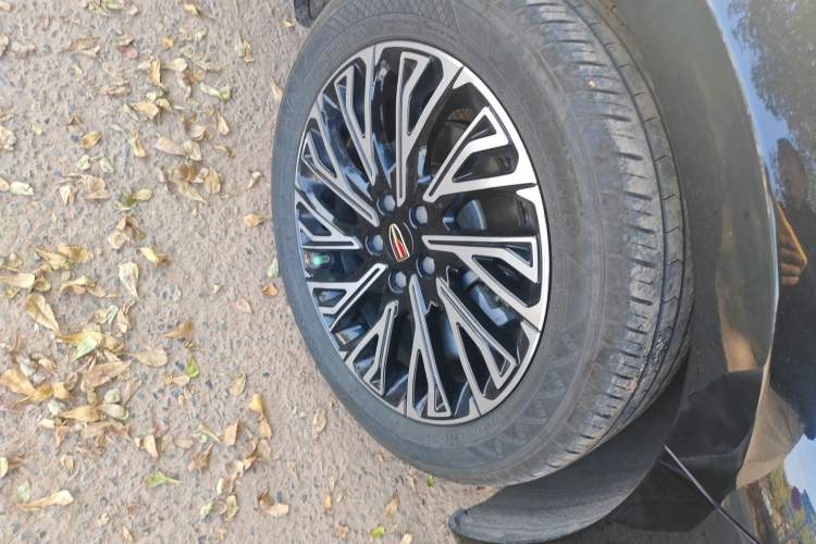 Used Hongqi H5 2025 2.0T Automatic Flag Edition – 500 000 Units Commemorative Version
