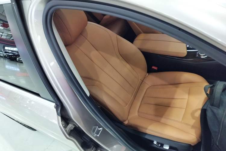 Used BMW 5 Series 2018 528Li Launch Special Edition
