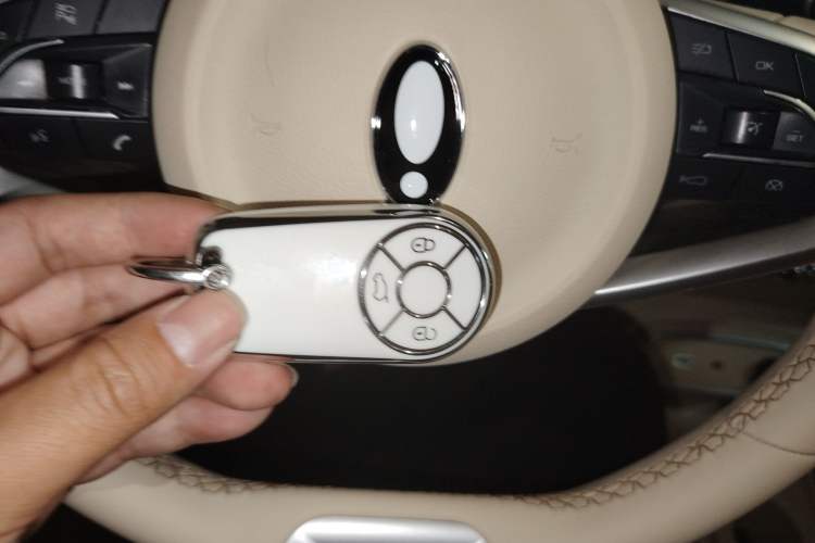 Used ORA Good Cat 2024 401 km Luxury Version Vehicle Key