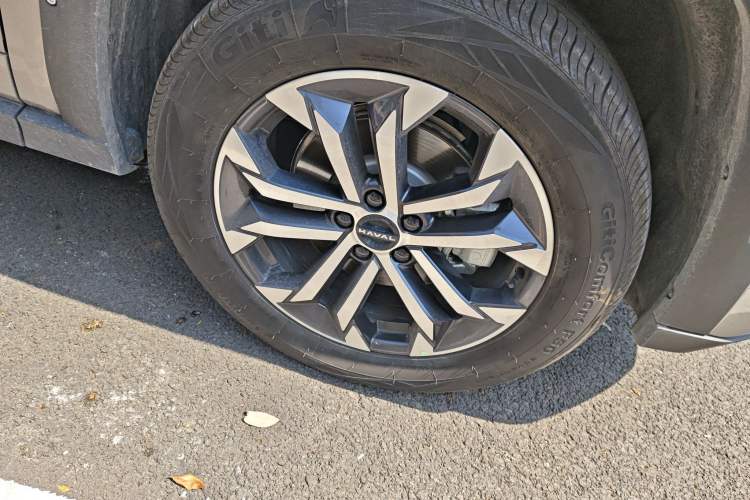 Used Haval H Dog 2023 1.5T Two-Wheel Drive Chao Ye Version Plus
