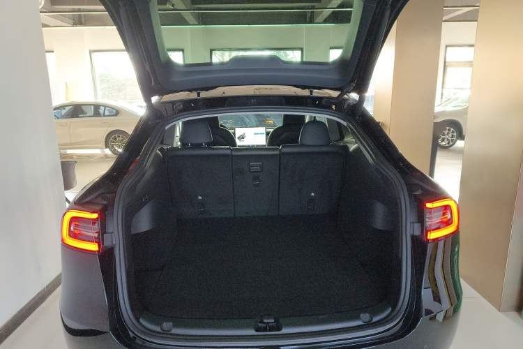 Used Tesla Model Y 2021 Standard Range Rear-Wheel Drive Version
