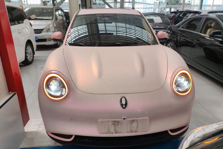 Used ORA Good Cat 2024 401 km Luxury Version