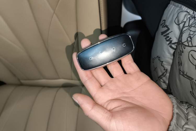 Used Denza D9 2024 DM-i 980 Four-Wheel Drive Prestige Model
