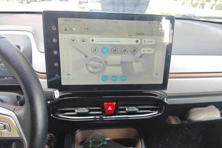 Used SOL E10X 2022 Flower Fairy Style Baby's Breath