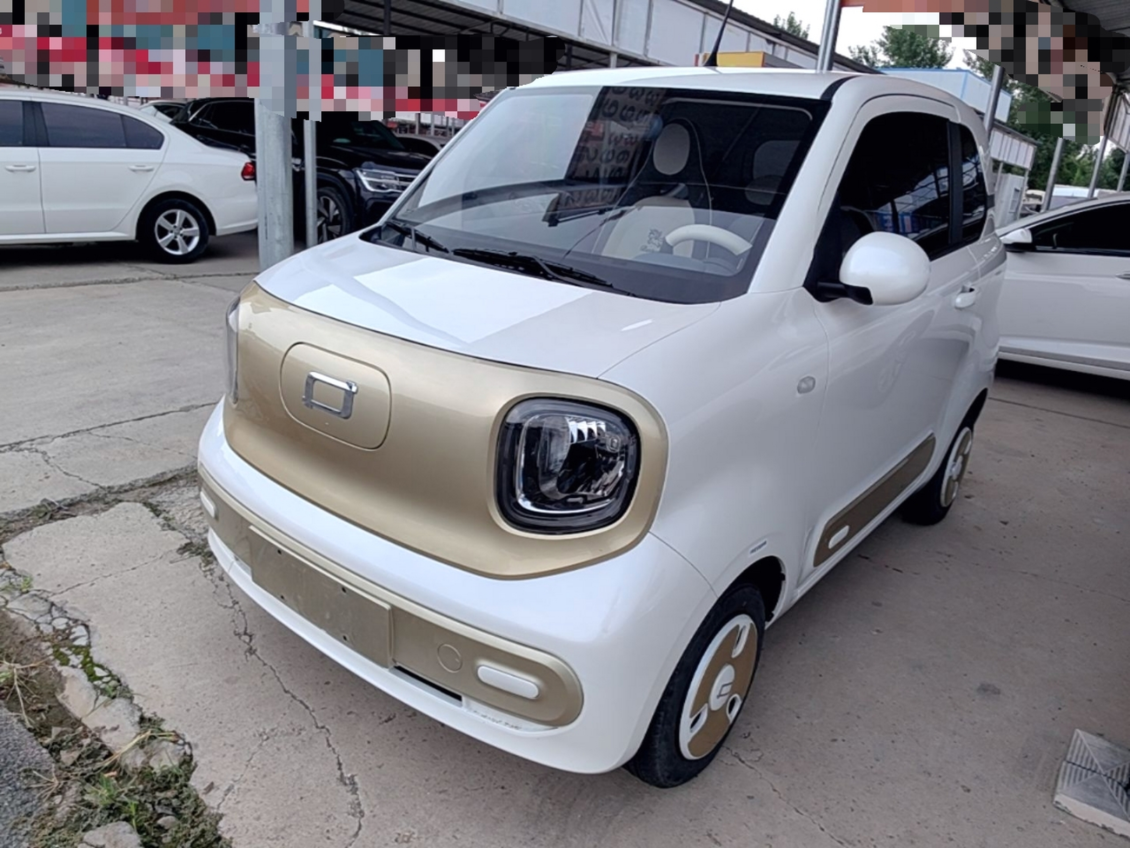 Parte inferior delantera
