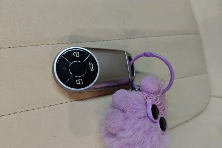 Used ORA Good Cat 2021 400km Standard Range Athena Edition Lithium Iron Phosphate Vehicle Key