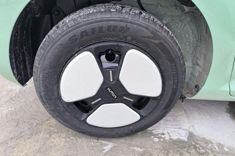 Used Qiyuan Lumin 2025 205km Refreshing Edition