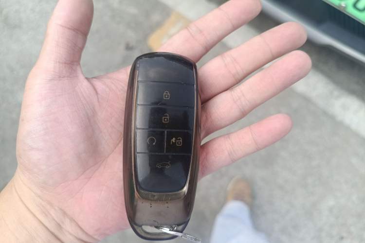 Used AION V 2020 80 MAX Edition Interior 1