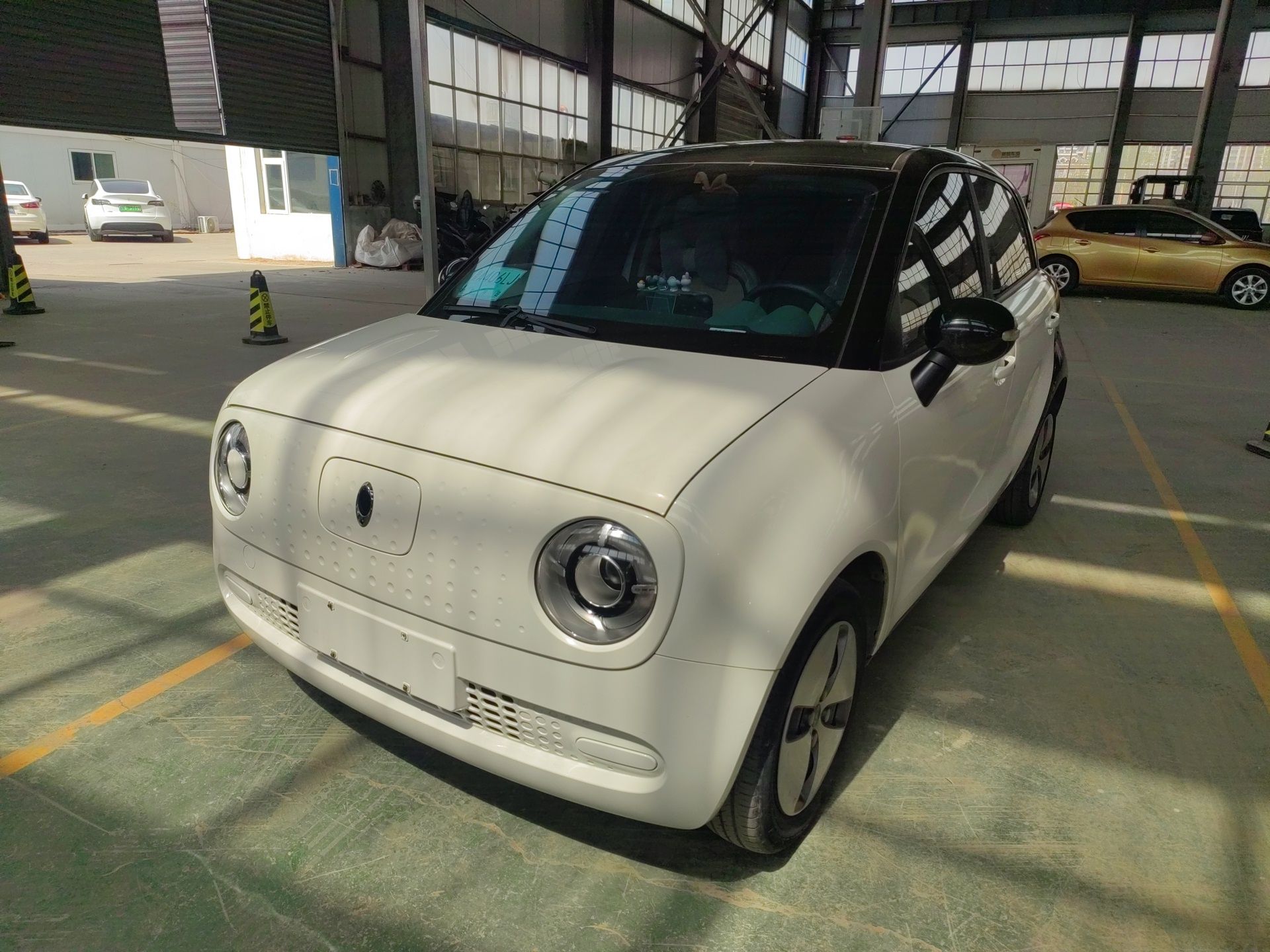 Parte inferior delantera