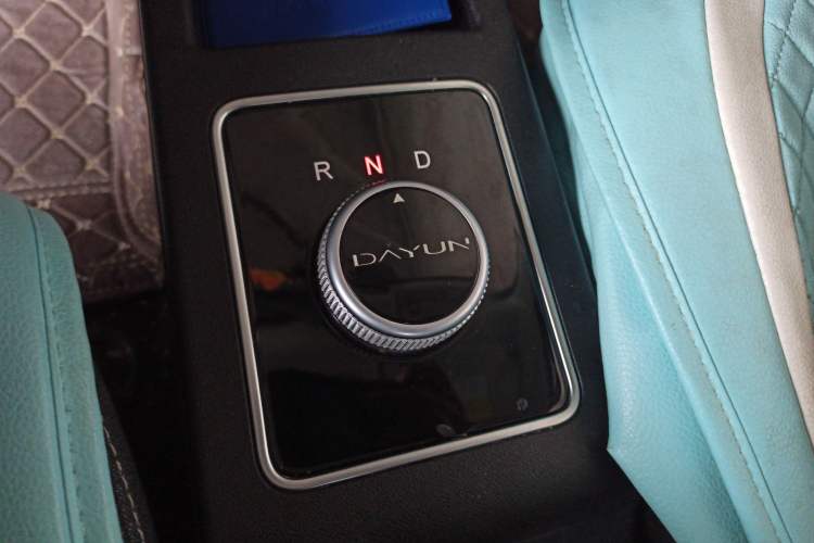 Used Dayun Yuehu 2022 30.66 kWh Two-Wheel Drive Standard Version
