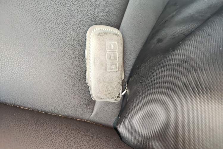 Used Lexus NX 2020 200 Front-Wheel Drive Vmotion Edition China VI Standard
