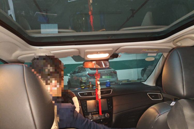 Used Nissan Qashqai 2019 2.0L CVT Luxury Edition
