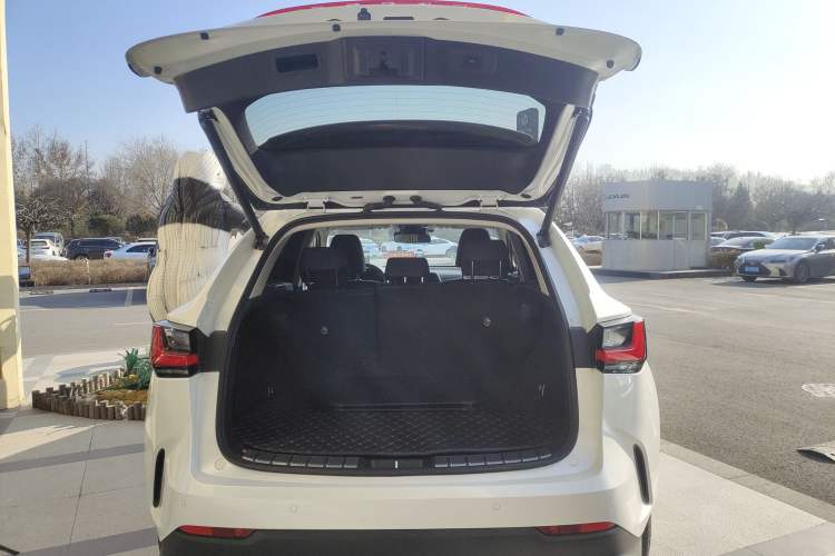 Used Lexus NX 2024 260 Front-Wheel Drive Chuanchi Edition