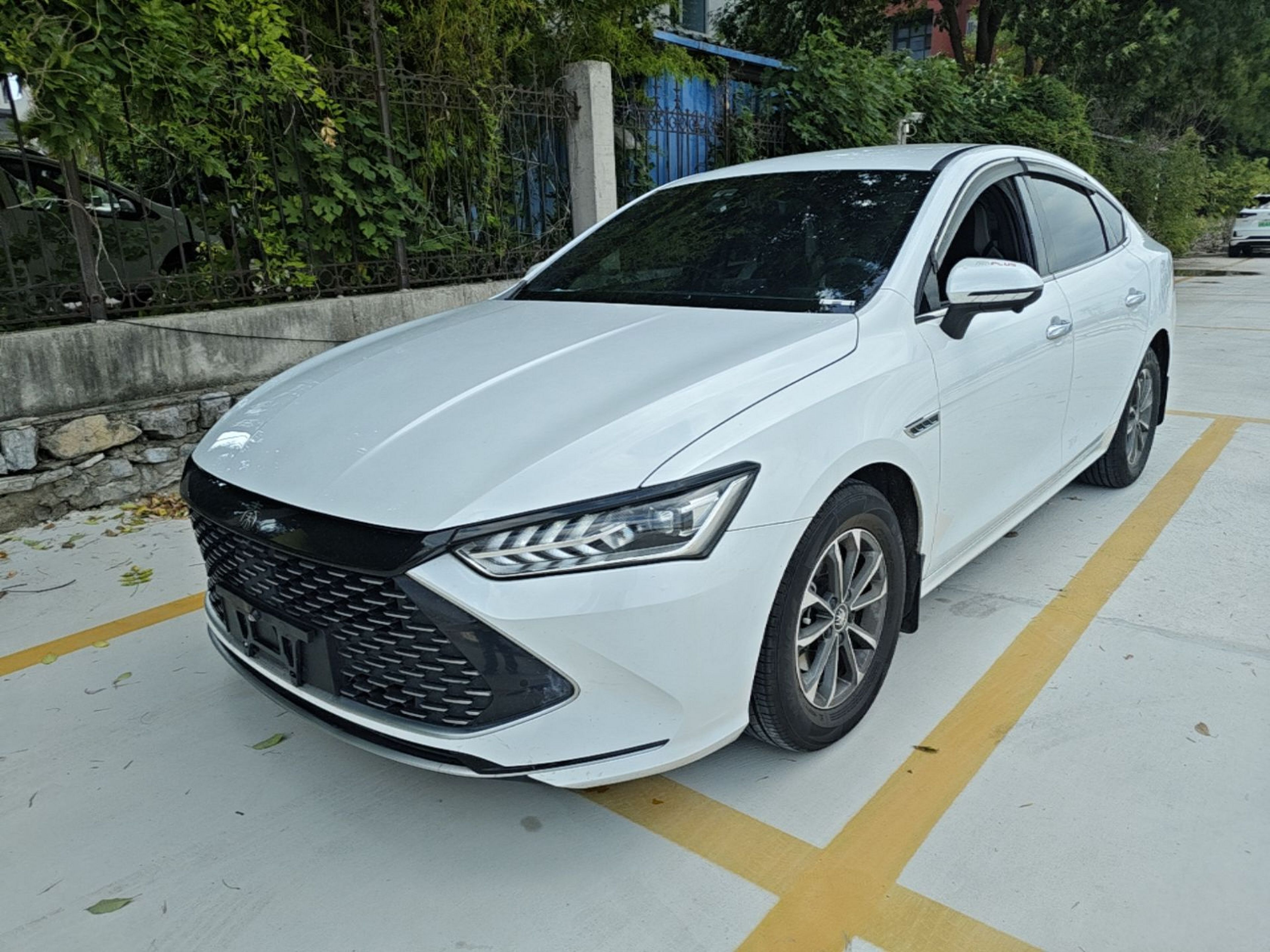 Under Front Bumper