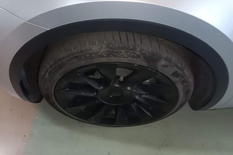Used Tesla Model Y 2021 Standard Range Rear-Wheel Drive Version
