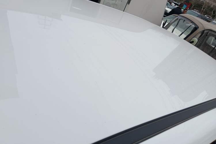 Used Qiyuan Lumin 2023 205km Xiangqin Version