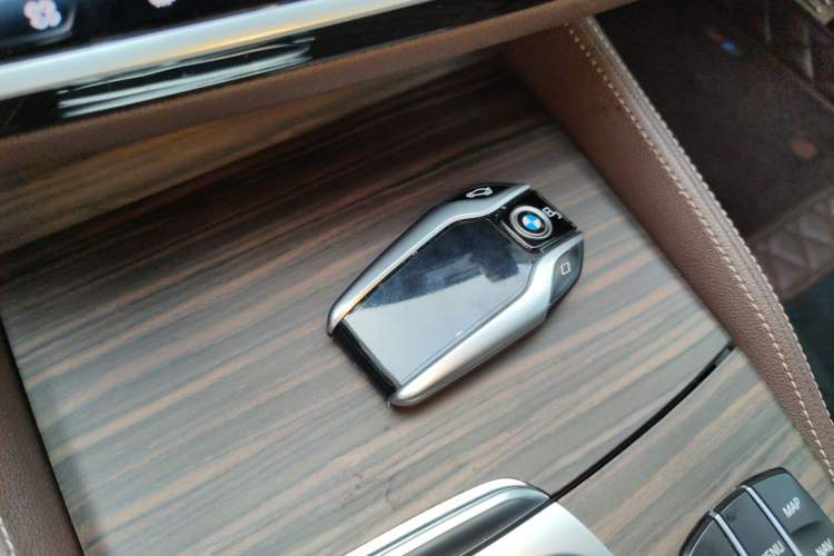 Used BMW 5 Series New Energy 2019 530Le Luxury Package