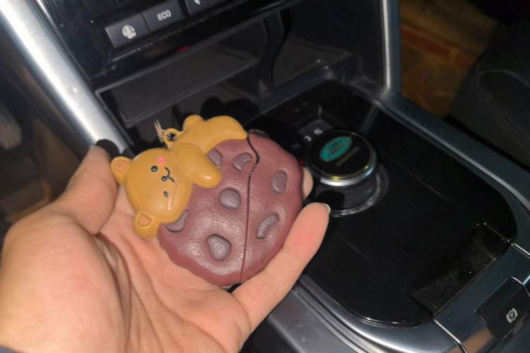 Used Land Rover Discovery Sport 2019 240 PS SE Version China V Standard