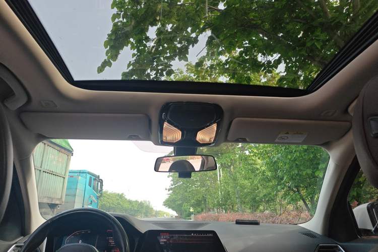 Used BMW 3 Series 2020 320Li M Sport Package Headliner