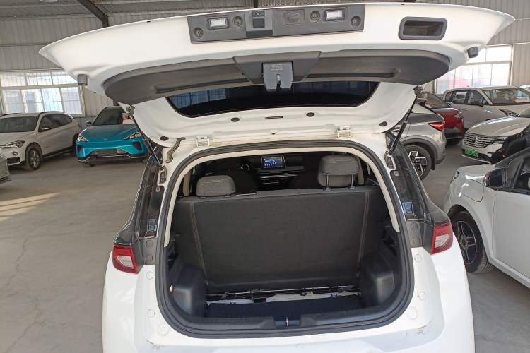 Used Dayun Yuehu 2023 300 Standard Edition
