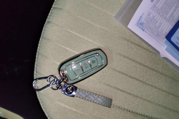 Used Geely Galaxy Panda 2024 Panda Mini 200km Endurance Bear
