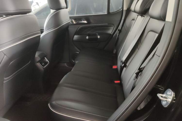 Used Tank 300 2024 2.0T Conqueror