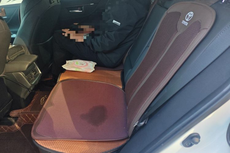 Used Toyota Venza 2022 Dual-Engine 2.5L CVT Two-Wheel Drive Luxury Edition Left Rear Seat