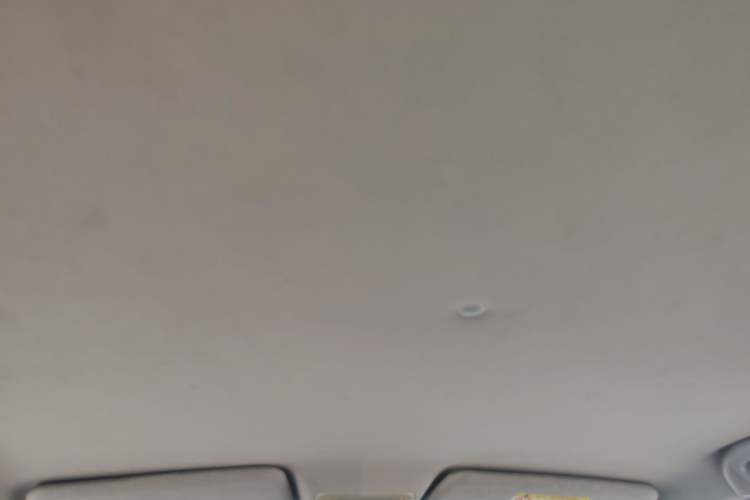 Used NETA N01 2020 380V Headliner