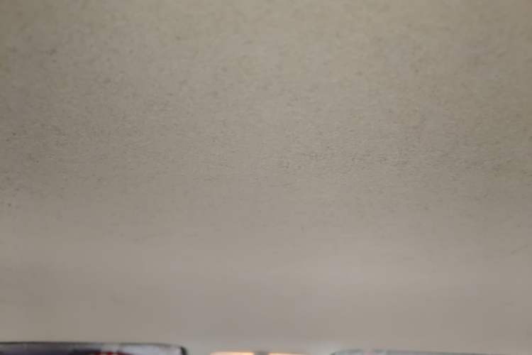 Used Venucia R50 2013 1.6L Manual Fashion Edition Headliner