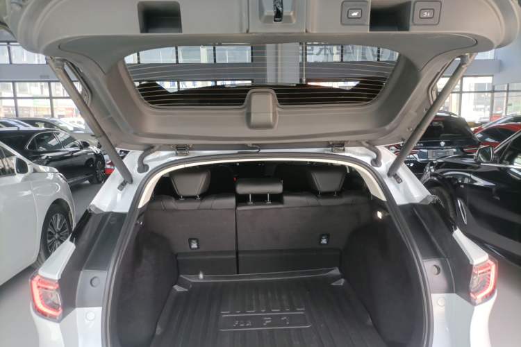 Used Honda P7 2025 Rear-Drive Long-Range Pro Trunk